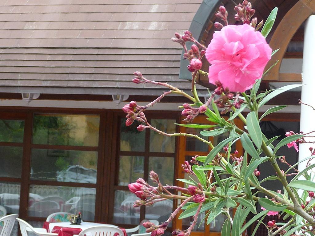 شيوفوك Oleander B&B المظهر الخارجي الصورة